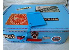 blue suitcase