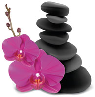 An orchid and stones for spas