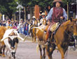 Ft Worth thumbnail