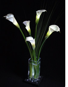 Vase light