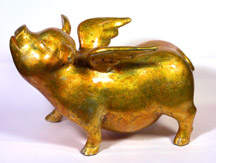 Golden Pig