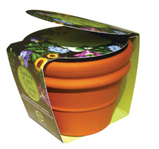Potted plant