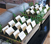 Blade Floral and Event Designs