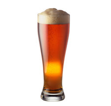 Tall glass of beer