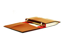 iPhone wallet