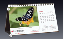 Calendar, promotion, meeting, event, convention
