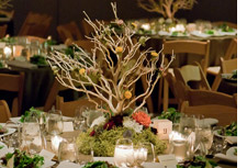 All-natural centerpiece
