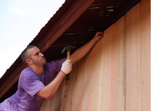 Man volunteering