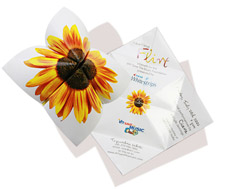 Cootie Catcher invite