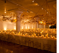 Ballroom decorated with branches