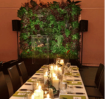 Wall planter