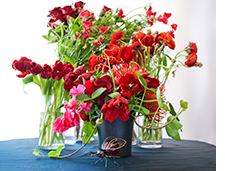 Spring centerpiece