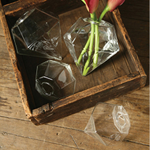 Poketo gem vases