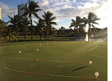 Night golf at the Westin Diplomat
