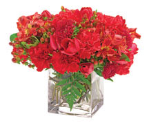 flowerslo