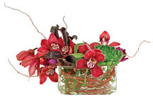 flowershi