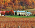 Loudoun County winery thumbnail