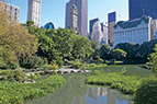 Central Park