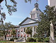 state capitol thumb