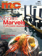 2009 Incentive cover