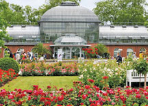 PalmenGarten